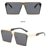 Punk-style sunglasses 9935
