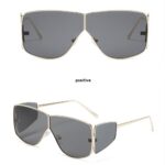 Metallic Fashion Sunglasses 5599