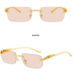 Punk-style sunglasses 2101