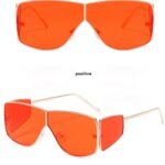Metallic Fashion Sunglasses 5599