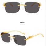 Punk-style sunglasses 2101